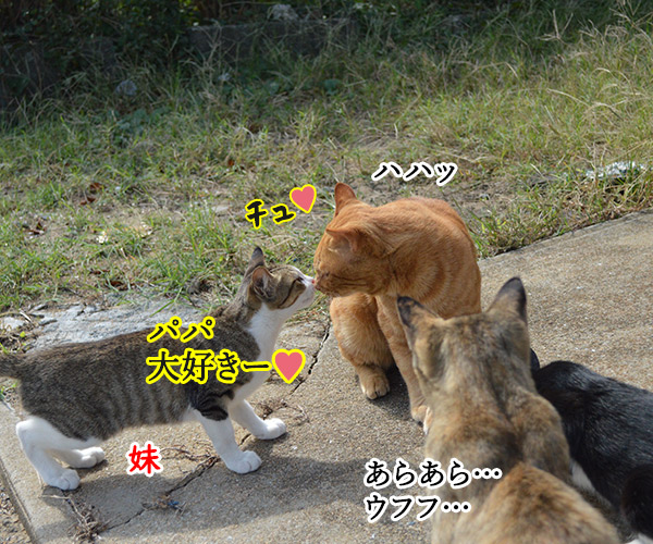 猫島　其の五　猫の写真で４コマ漫画　２コマ目ッ