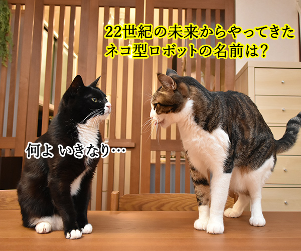 ネコ型ロボットの名前は？　猫の写真で４コマ漫画　１コマ目ッ