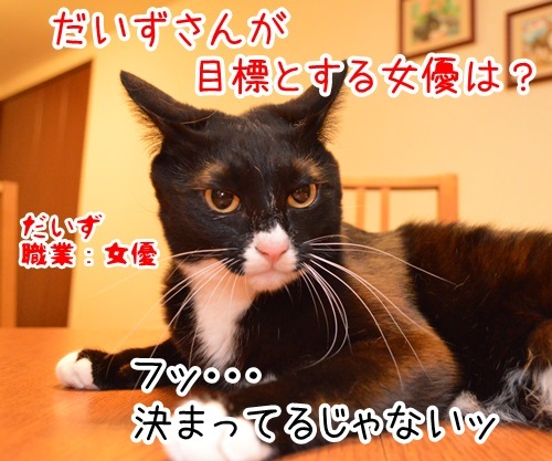 リスペクト　猫の写真で４コマ漫画　１コマ目ッ