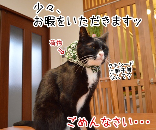 お正月なので　猫の写真で４コマ漫画　４コマ目ッ