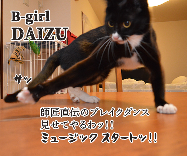 B Girl Daizuのブレイクダンス ミュージック スタートッ ねこ写真４コマ あずきさんとだいずさん