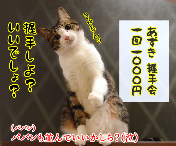 消費税があがると家計が…　猫の写真で４コマ漫画　４コマ目ッ