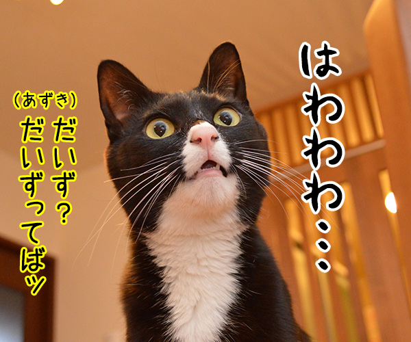 勝利の瞬間　猫の写真で４コマ漫画　４コマ目ッ