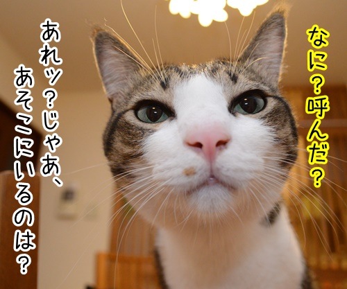 コラボ　其の五（ほっちゃん）　猫の写真で４コマ漫画　２コマ目ッ