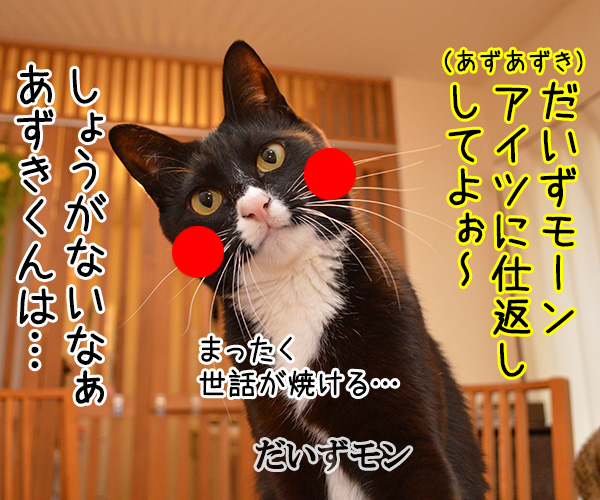 助けて！！だいずモン　其の一　猫の写真で４コマ漫画　２コマ目ッ