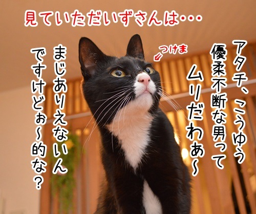 こっちにおいで　猫の写真で４コマ漫画　４コマ目ッ