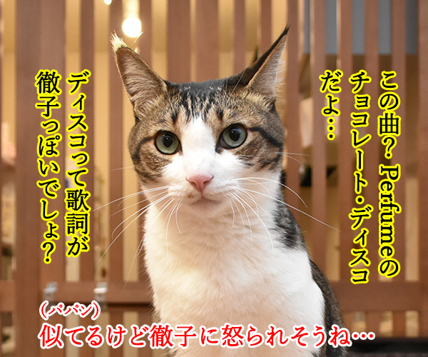 黒柳徹子の歌　猫の写真で４コマ漫画　３コマ目ッ