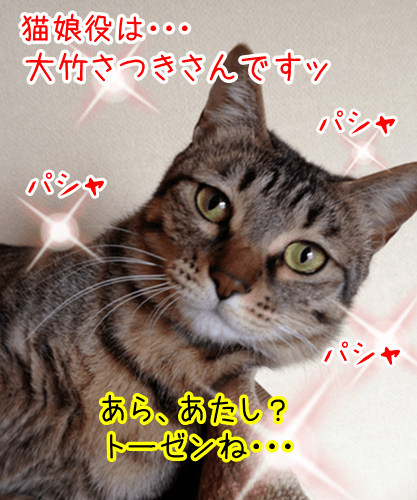 コラボ 其の六（さつき）　猫の写真で４コマ漫画　２コマ目ッ