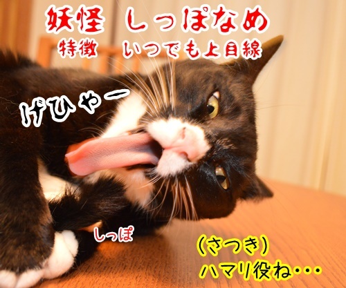 コラボ 其の六（さつき）　猫の写真で４コマ漫画　４コマ目ッ