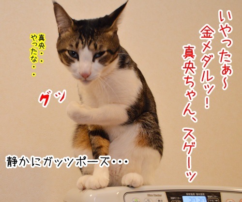 ソチの真央　其の一　猫の写真で４コマ漫画　４コマ目ッ