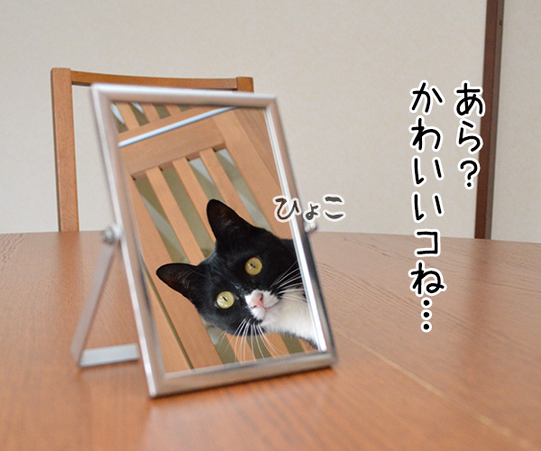 鏡の中の　猫の写真で４コマ漫画　１コマ目ッ