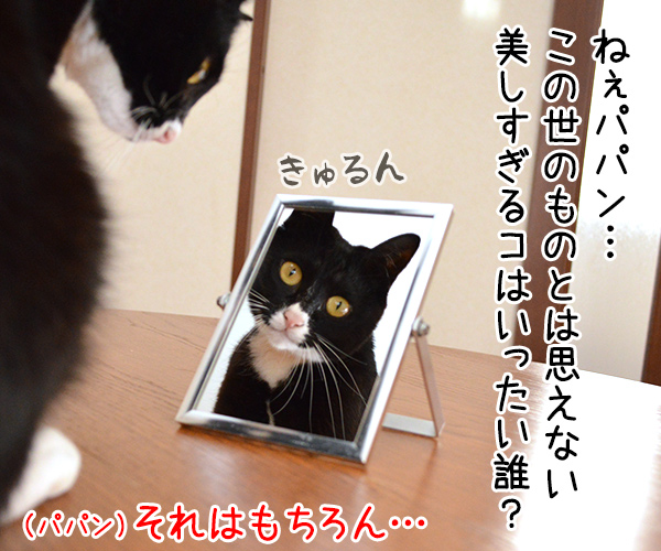 鏡の中の　猫の写真で４コマ漫画　３コマ目ッ