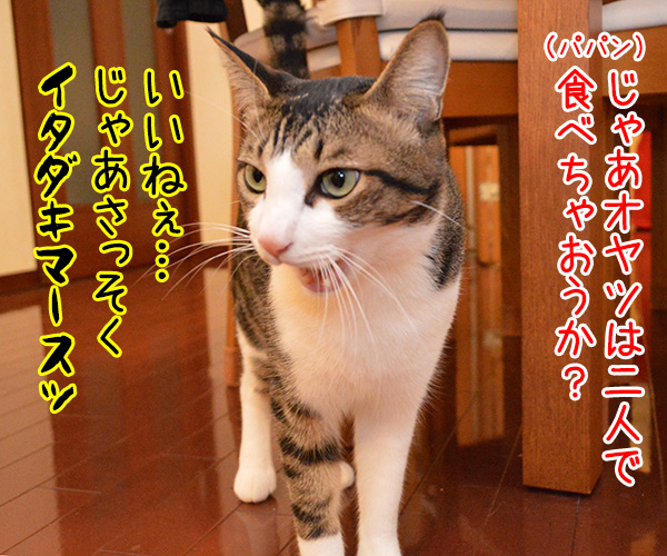 パパンとあずきのこっそりオヤツ　猫の写真で４コマ漫画　２コマ目ッ