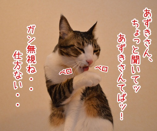 あずきさんを呼ぶとき　猫の写真で４コマ漫画　３コマ目ッ