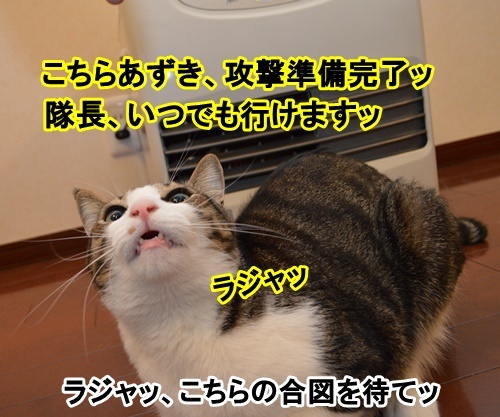 アタック　猫の写真で４コマ漫画　２コマ目ッ