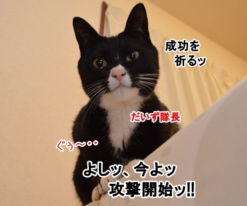 アタック　猫の写真で４コマ漫画　３コマ目ッ