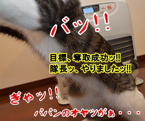 アタック　猫の写真で４コマ漫画　４コマ目ッ