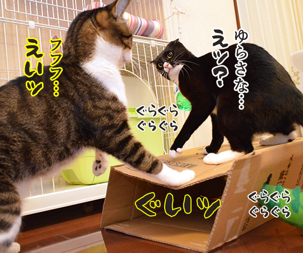 ゆらさないでッ　猫の写真で４コマ漫画　２コマ目ッ