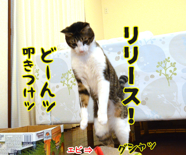 キャッチ アンド…　猫の写真で４コマ漫画　３コマ目ッ