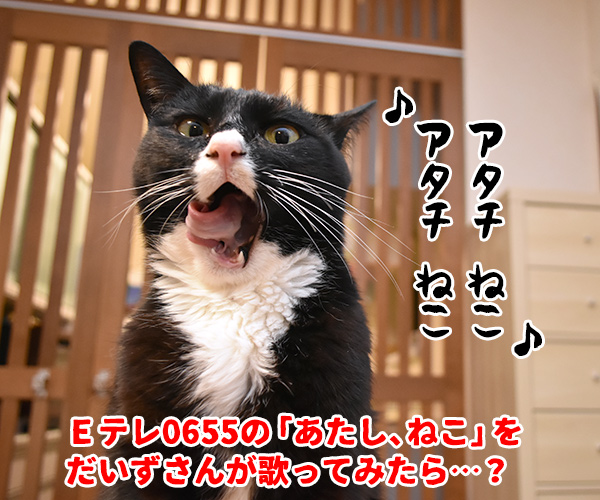 「あたし、ねこ」を歌ってみた