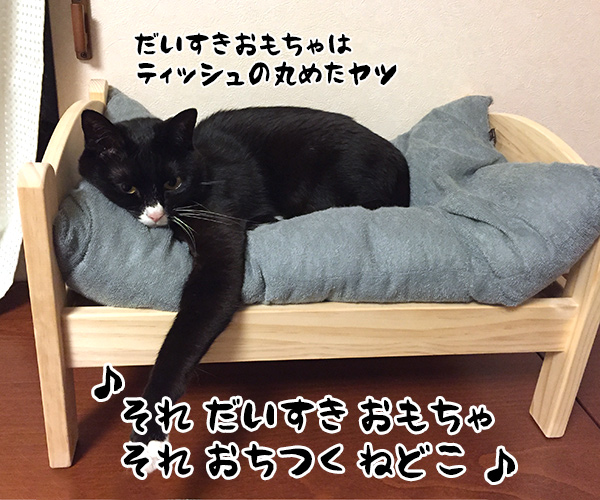 「あたし、ねこ」を歌ってみた　猫の写真で４コマ漫画　４コマ目ッ