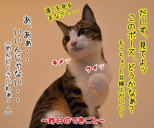 めんどうなのよッ　猫の写真で４コマ漫画　２コマ目ッ