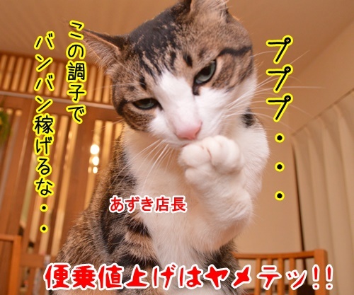 消費増税　猫の写真で４コマ漫画　４コマ目ッ