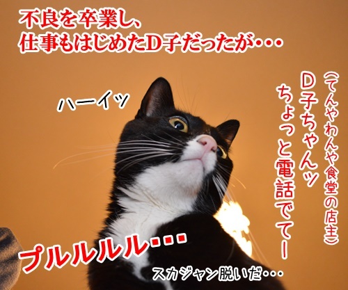 Ｄ子さん　その後　其の二　猫の写真で４コマ漫画　１コマ目ッ