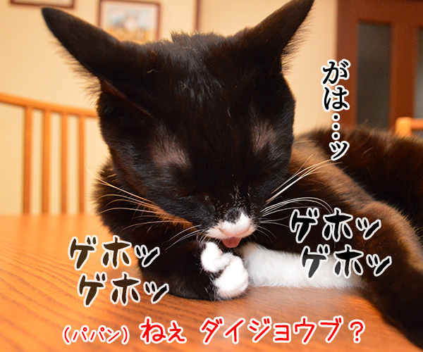 なにするの？　猫の写真で４コマ漫画　３コマ目ッ