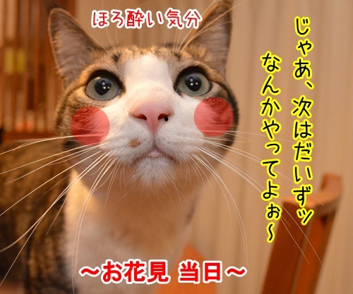 宴会芸　其の二　猫の写真で４コマ漫画　１コマ目ッ