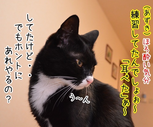 宴会芸　其の二　猫の写真で４コマ漫画　２コマ目ッ