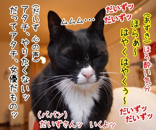 宴会芸　其の二　猫の写真で４コマ漫画　３コマ目ッ