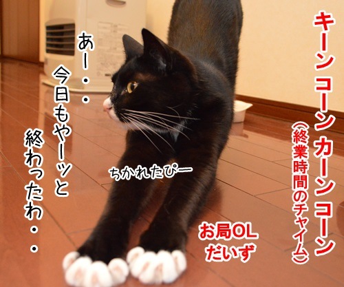 OLだいずの終業直後　猫の写真で４コマ漫画　１コマ目ッ