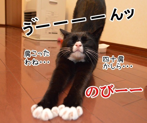 OLだいずの終業直後　猫の写真で４コマ漫画　２コマ目ッ