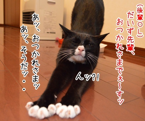 OLだいずの終業直後　猫の写真で４コマ漫画　３コマ目ッ