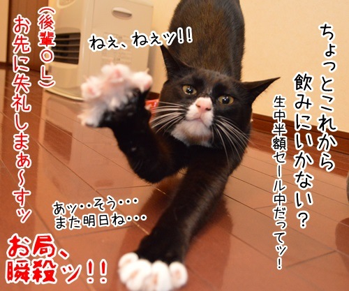 OLだいずの終業直後　猫の写真で４コマ漫画　４コマ目ッ