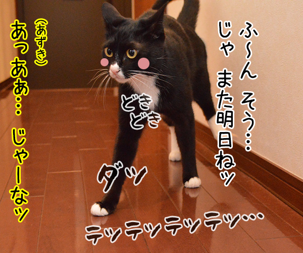 呼び出されて　猫の写真で４コマ漫画　３コマ目ッ