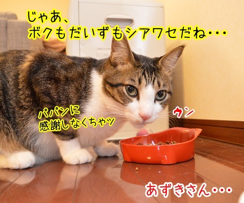 感謝のキモチ　猫の写真で４コマ漫画　３コマ目ッ