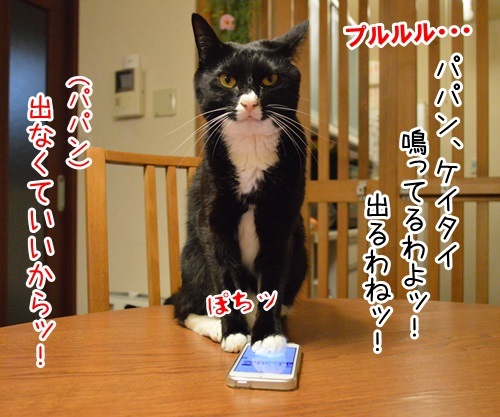 オレオレ詐欺　猫の写真で４コマ漫画　１コマ目ッ