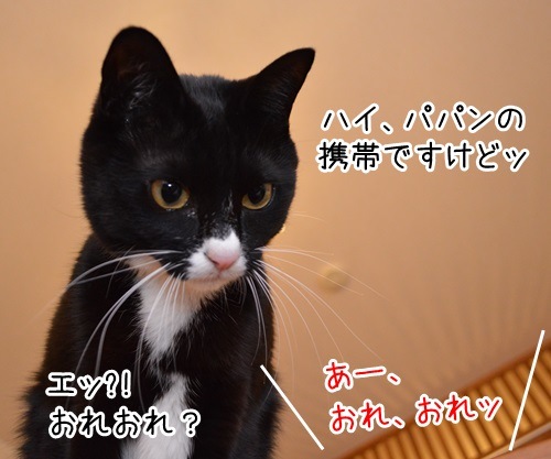 オレオレ詐欺　猫の写真で４コマ漫画　２コマ目ッ