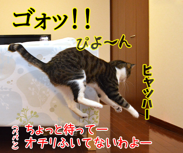 ウンチョスの後は…　猫の写真で４コマ漫画　２コマ目ッ