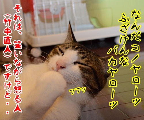 怒ってなどいない！！　其の二　猫の写真で４コマ漫画　４コマ目ッ