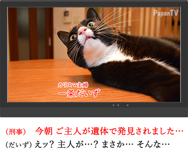 2時間ドラマの再放送 開始15分　猫の写真で４コマ漫画　１コマ目ッ