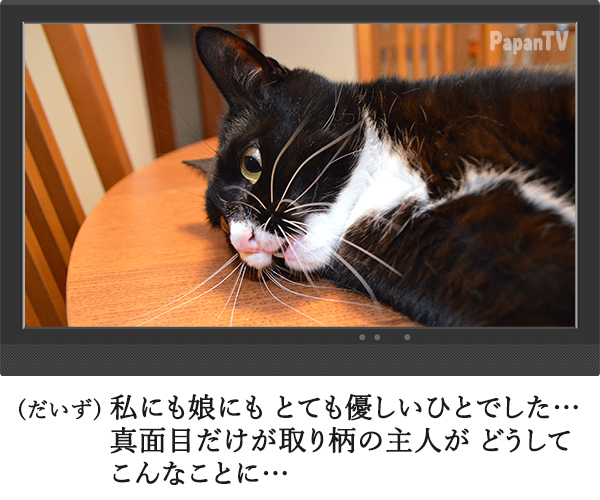 2時間ドラマの再放送 開始15分　猫の写真で４コマ漫画　３コマ目ッ