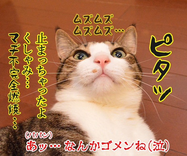 くしゃみが出そう　猫の写真で４コマ漫画　４コマ目ッ