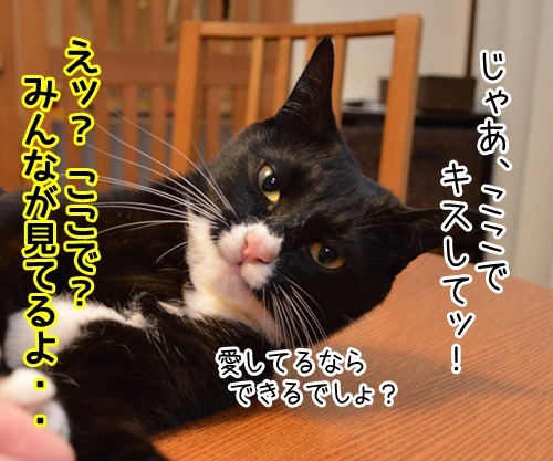 今すぐKiss me　猫の写真で４コマ漫画　２コマ目ッ