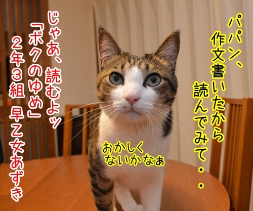 ボクのゆめ　猫の写真で４コマ漫画　１コマ目ッ