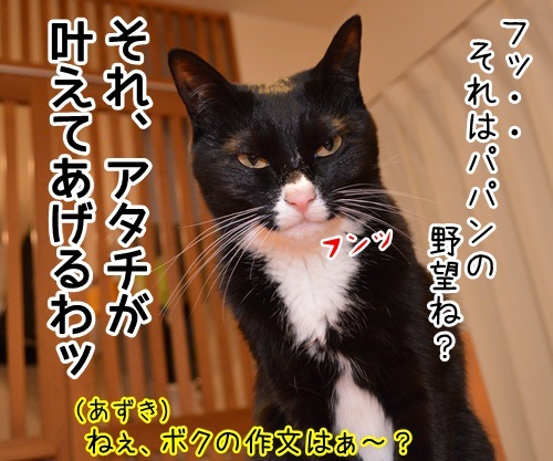 ボクのゆめ　猫の写真で４コマ漫画　４コマ目ッ