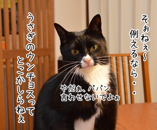 ウンチョス調査　猫の写真で４コマ漫画　２コマ目ッ