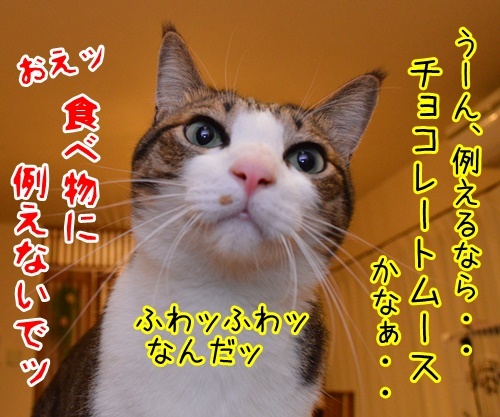 ウンチョス調査　猫の写真で４コマ漫画　４コマ目ッ